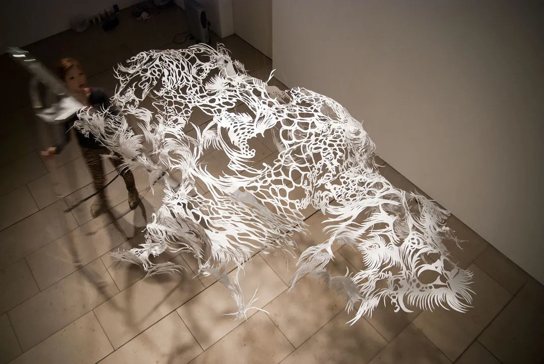 32米的蓝鲸、3米的北极熊……她的4D剪纸艺术，刷爆欧美艺术馆 | 艺术家