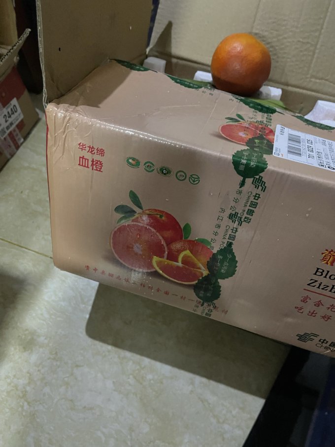 京觅橙子