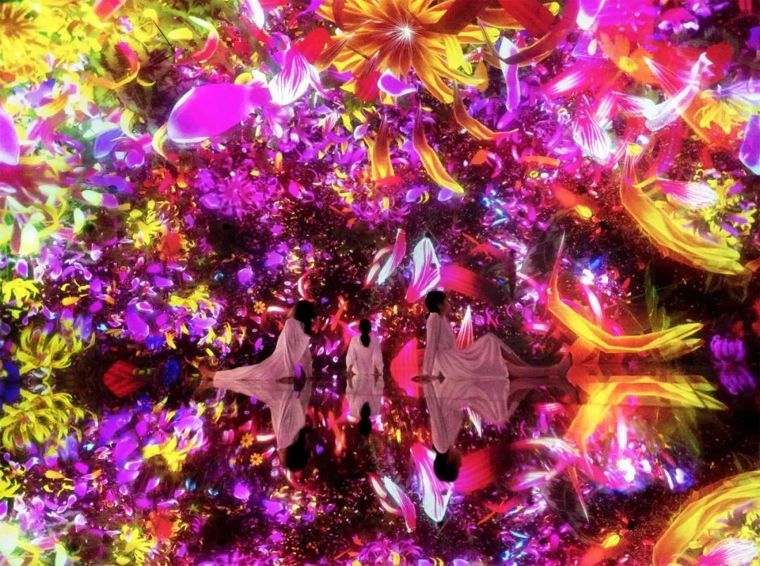圈粉无数的teamLab,即将于北京启动一万平方米全新空间,感受可触碰的科技艺术
