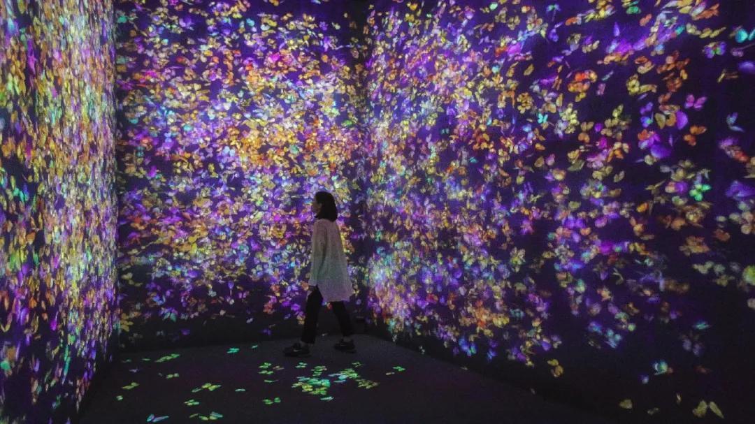 圈粉无数的teamLab,即将于北京启动一万平方米全新空间,感受可触碰的科技艺术
