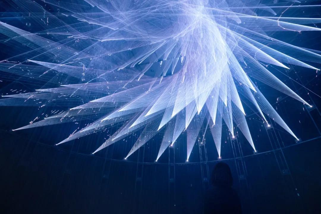 圈粉无数的teamLab,即将于北京启动一万平方米全新空间,感受可触碰的科技艺术