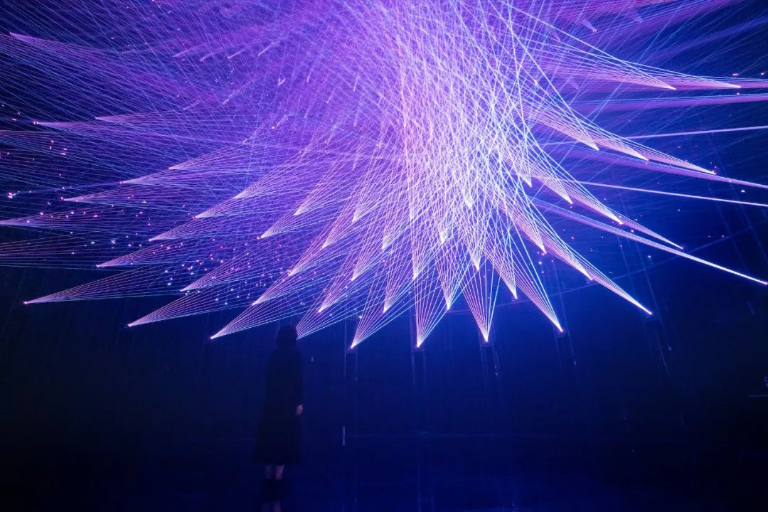 圈粉无数的teamLab，即将于北京启动一万平方米全新空间，感受可触碰的科技艺术 