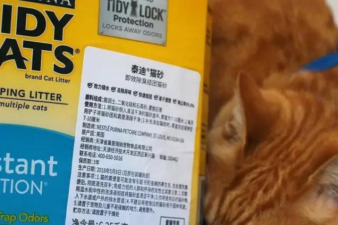 泰迪猫砂