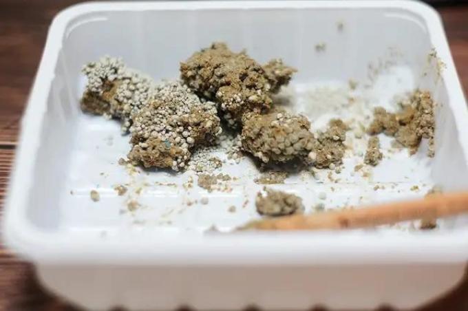 泰迪猫砂