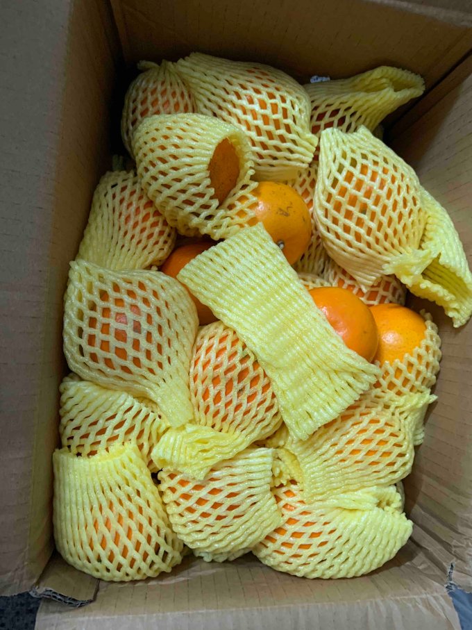 水果蔬菜橘/桔
