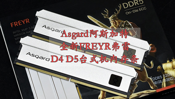 什么硬件值得选 篇二十四：Asgard阿斯加特 FREYR弗雷系列 全新D4D5台式机内存条 震撼来袭 