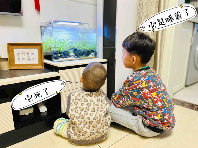 造景装饰