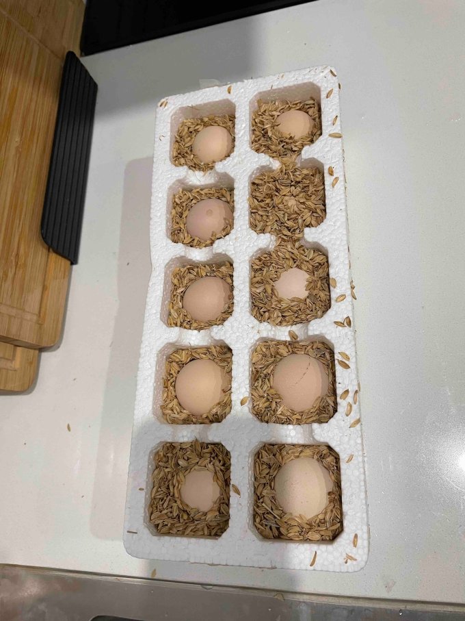 蛋类