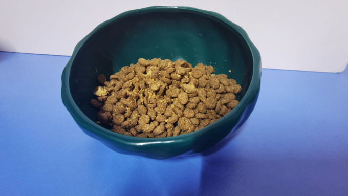 美人喵宠物食具水具