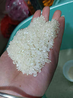 米香十足入口软糯的大米