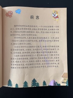 给三岁外甥女买的书籍：最强大脑思维训练