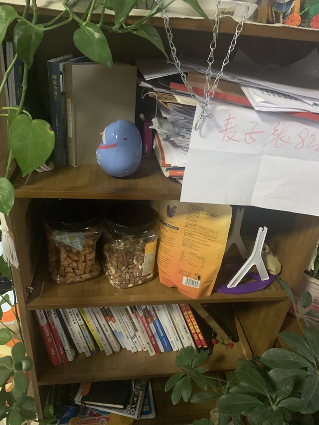 多功能小书架