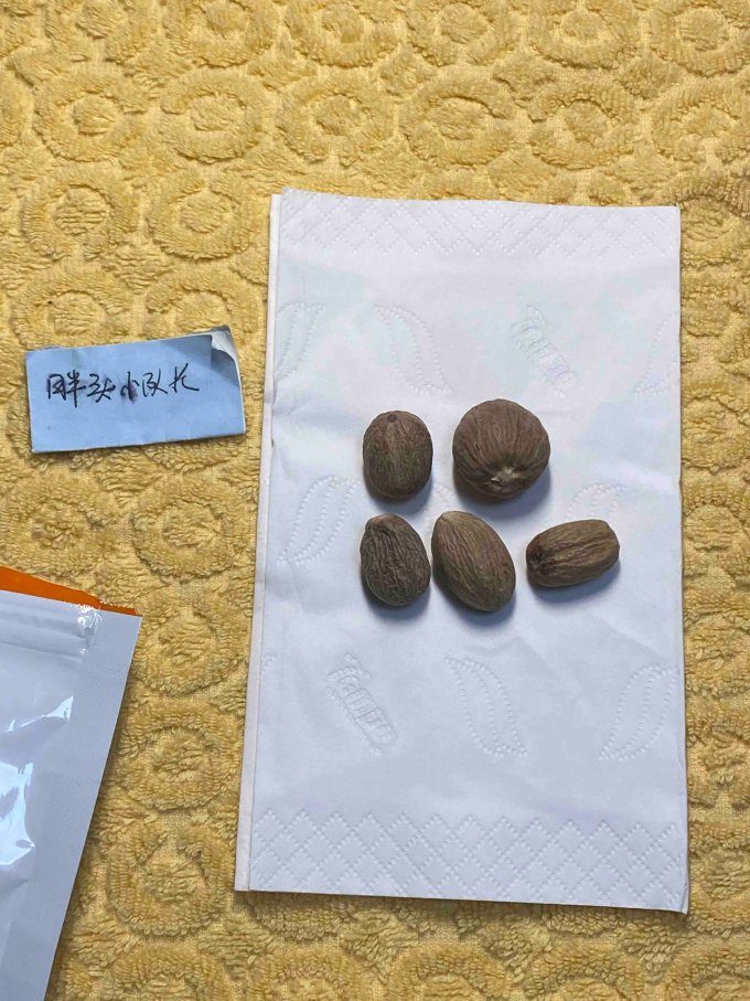 香辛料