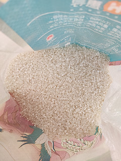 盘锦蟹稻比白菜还便宜！