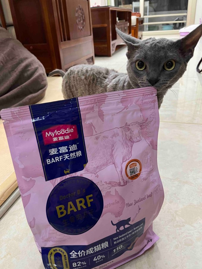 猫咪干粮