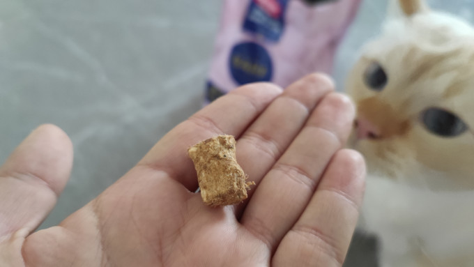 猫咪干粮