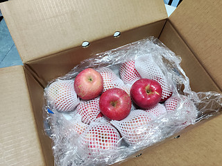 60一箱的铂金大苹果，小朋友超爱吃