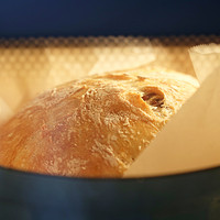 努力让面包更好吃——超简单的天然酵母养成记