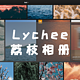  搭建NAS个人相册，Lychee荔枝相册　