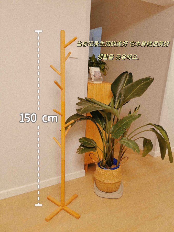 维莎原木衣架