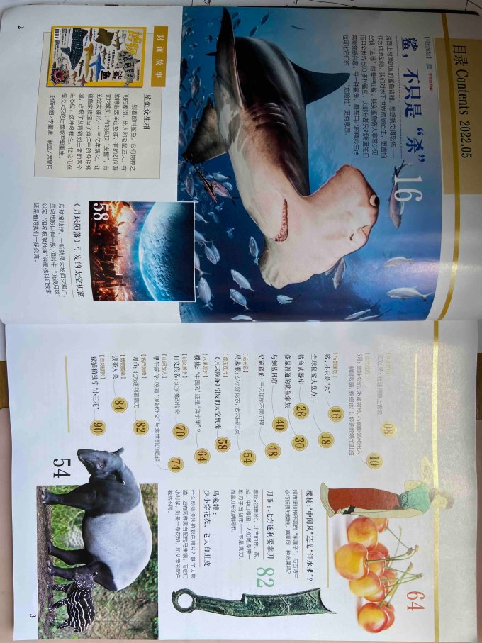 期刊杂志