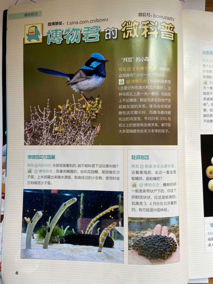 期刊杂志