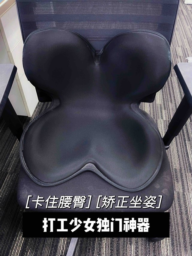 500元的花瓣坐垫，听说是IT人必备神器
