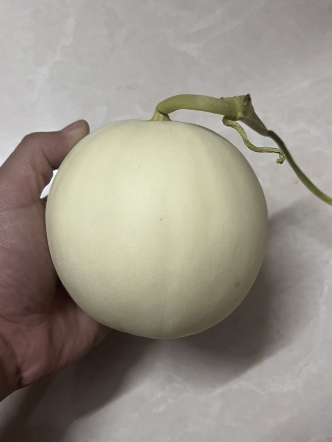 沙窝曙光新鲜水果