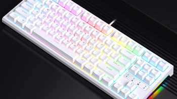 RK 推出 R87 RGB 有线机械键盘：TTC轴座、87键布局、全键热插拔