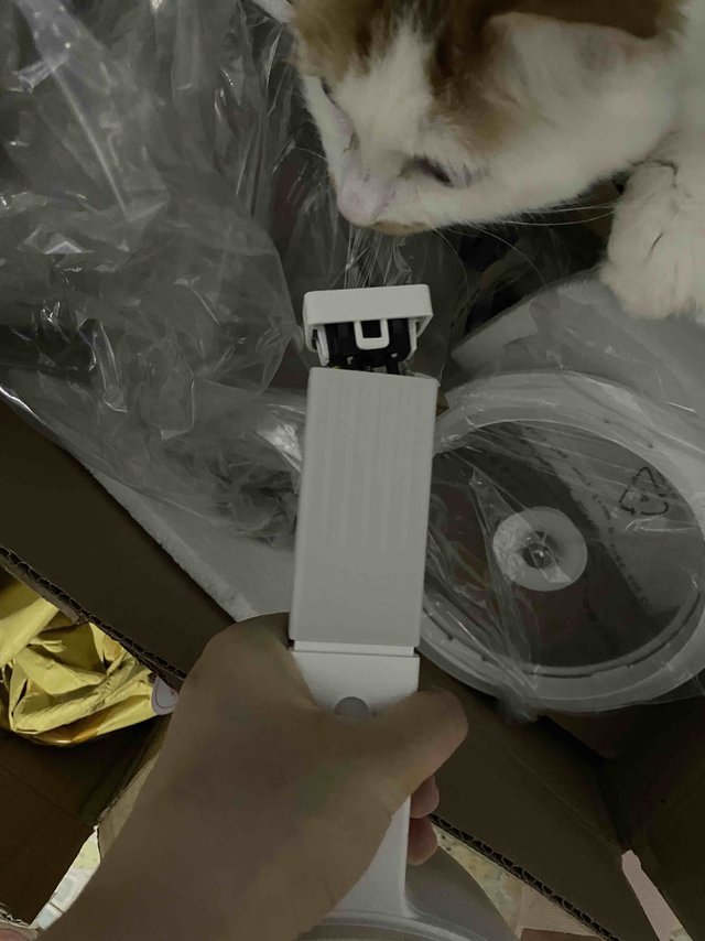 买来就是坏的锅还特别浅