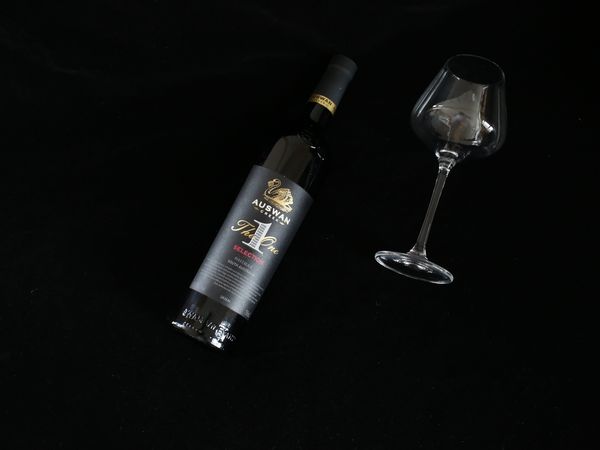 烤肉红酒好搭档，天鹅庄1号精选西拉干红