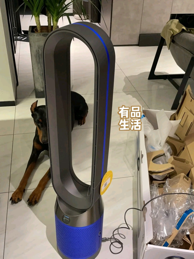 戴森电风扇