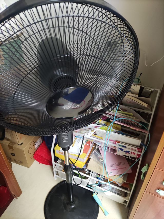 夏日凉凉飕飕！
