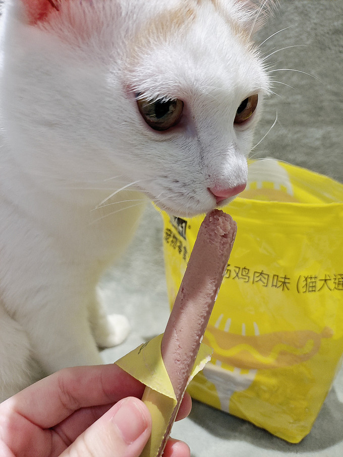 猫犬通用零食