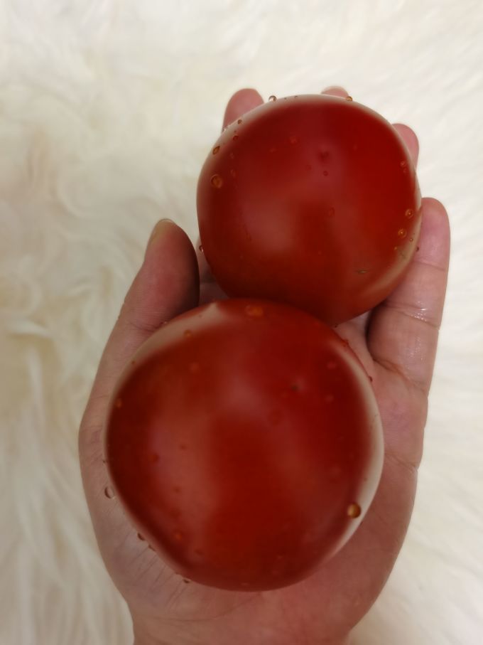 绿行者蔬菜