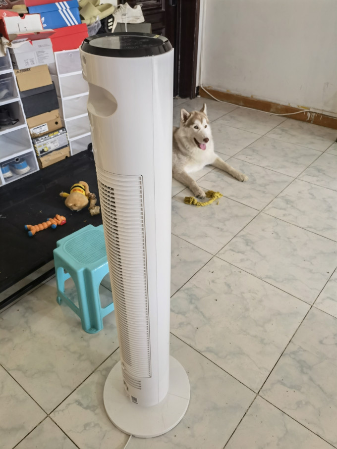 格力电风扇