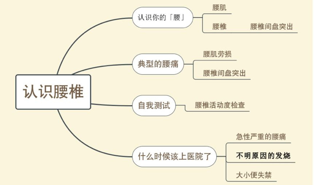 工作好多年,哪里都不突出,就是腰椎间盘突出了?腰疼了不要忍着了, 速速收藏