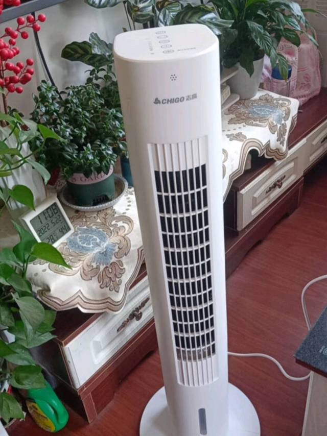 志高空调扇，风力大很凉爽