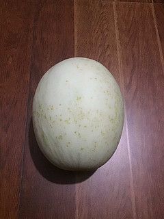 甜瓜🍈甜瓜