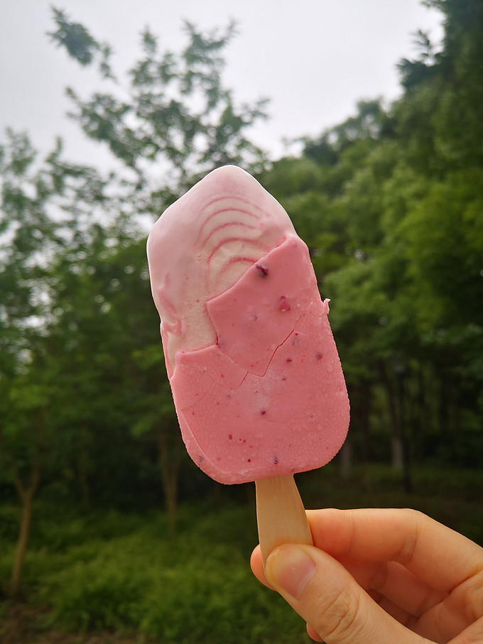 梦龙冰淇淋/雪糕