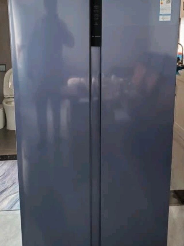 ​伊莱克斯465升 家用冰箱 双开门 