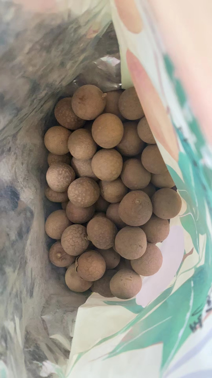 九鲤湖红枣桂圆