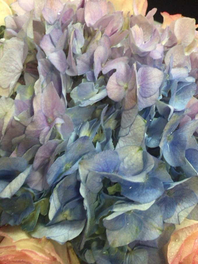 红豆男装鲜花