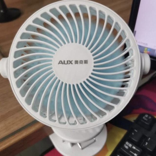 分量很大的小风扇