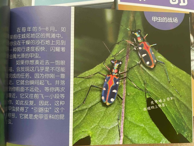 北京联合出版公司少儿读物