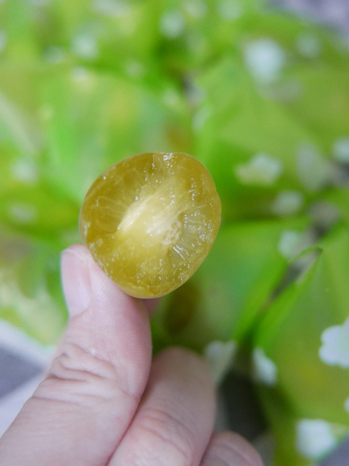 如意梅蜜饯果脯