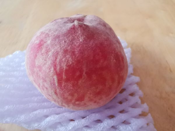 又是一年水蜜桃季，吃起来～～～