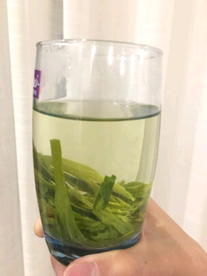 贡苑绿茶