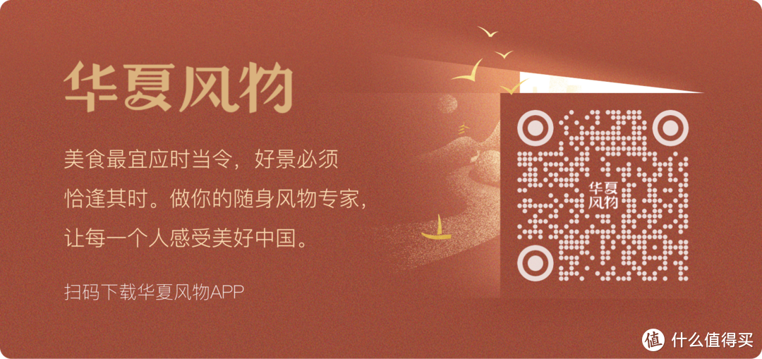 蚂蚁、老鼠、青蛙、鸟雀,那些无法阻挡的酸食诱惑