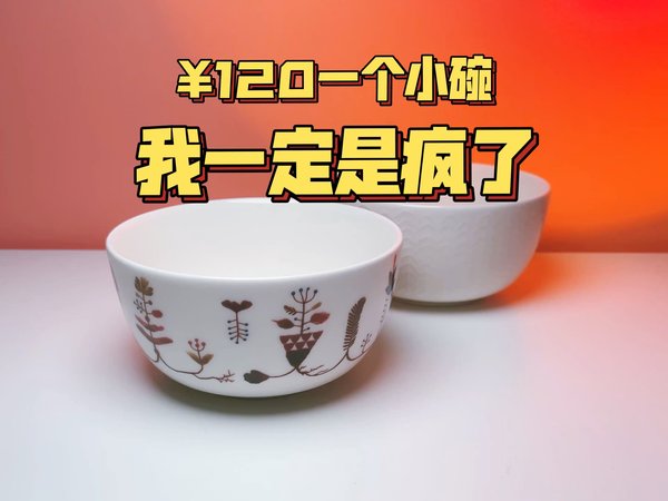 疯的彻底！120元一个碗 老婆要送我去医院